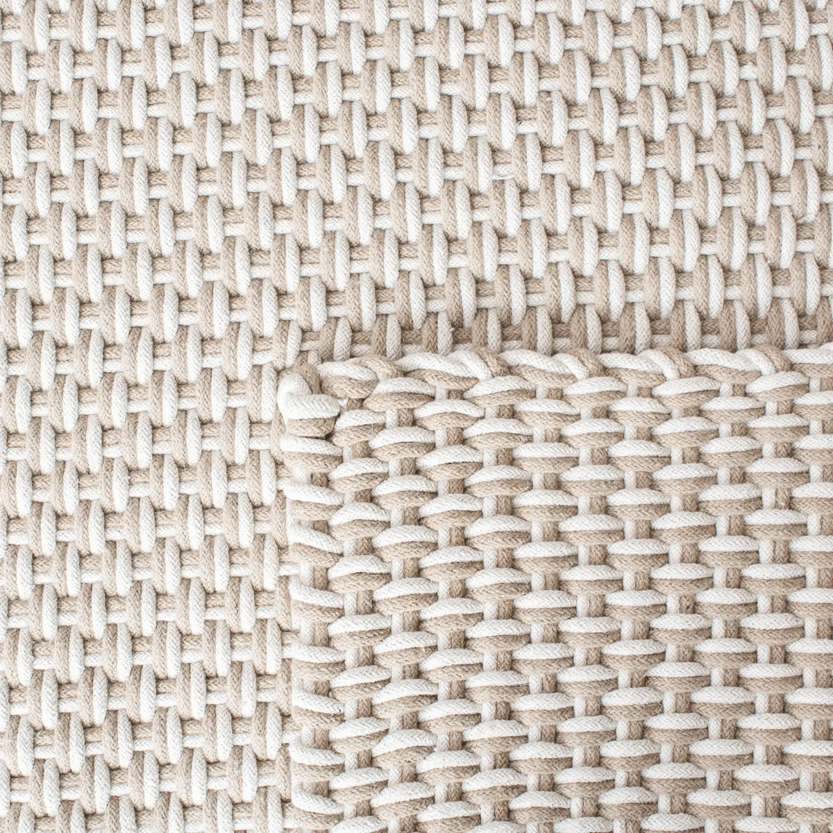 Safavieh Salem 4'-0" x 6'-0" Rug in Beige / Ivory