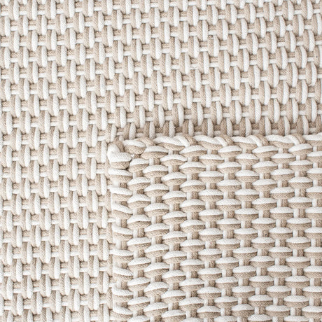Safavieh Salem 4'-0" x 6'-0" Rug in Beige / Ivory