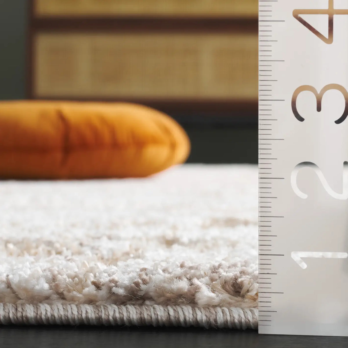Safavieh Ravine Shag 4'-0" x 6'-0" Rug in Beige / Ivory