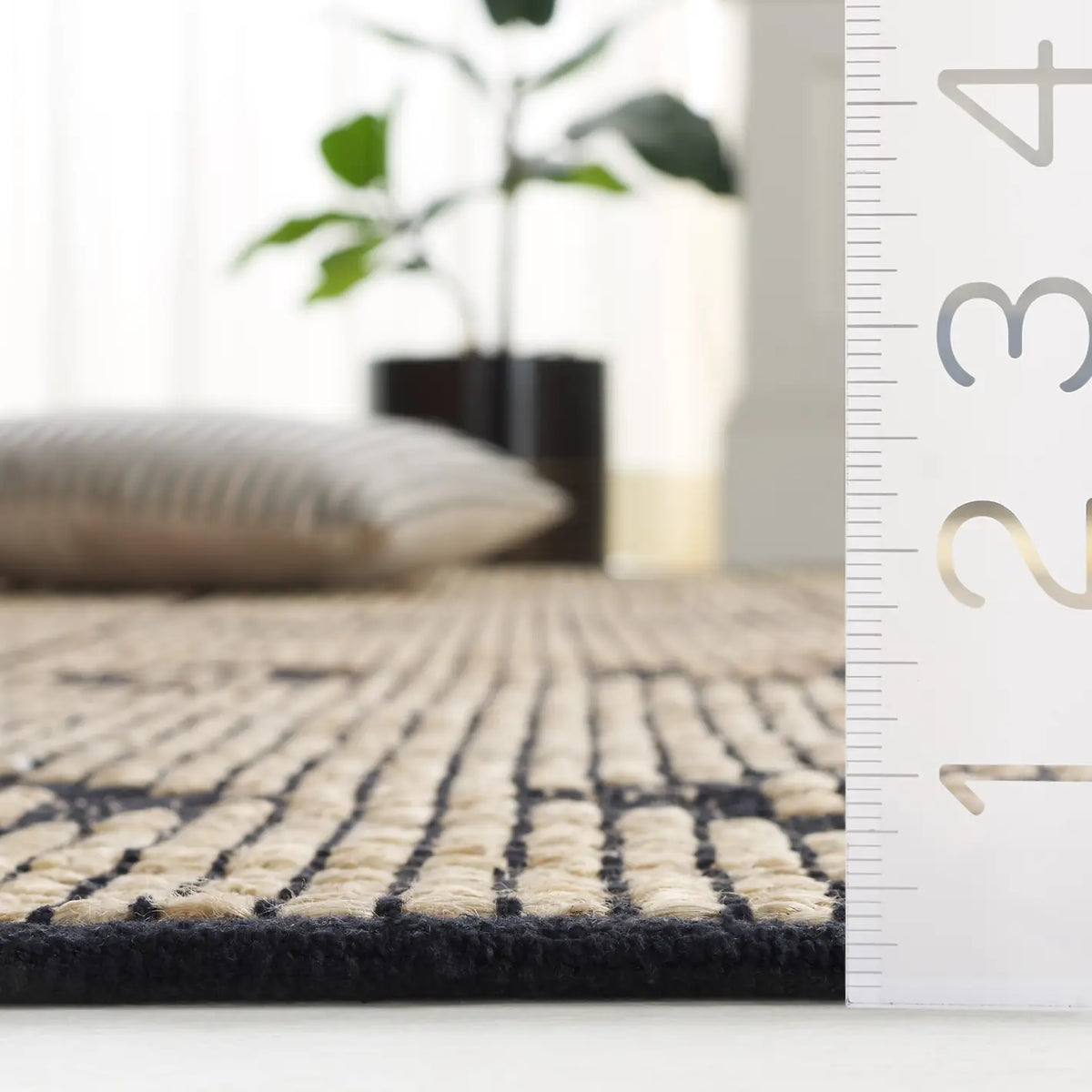 Safavieh Natural Fiber 4'-0" x 6'-0" Rug in Natural / Black