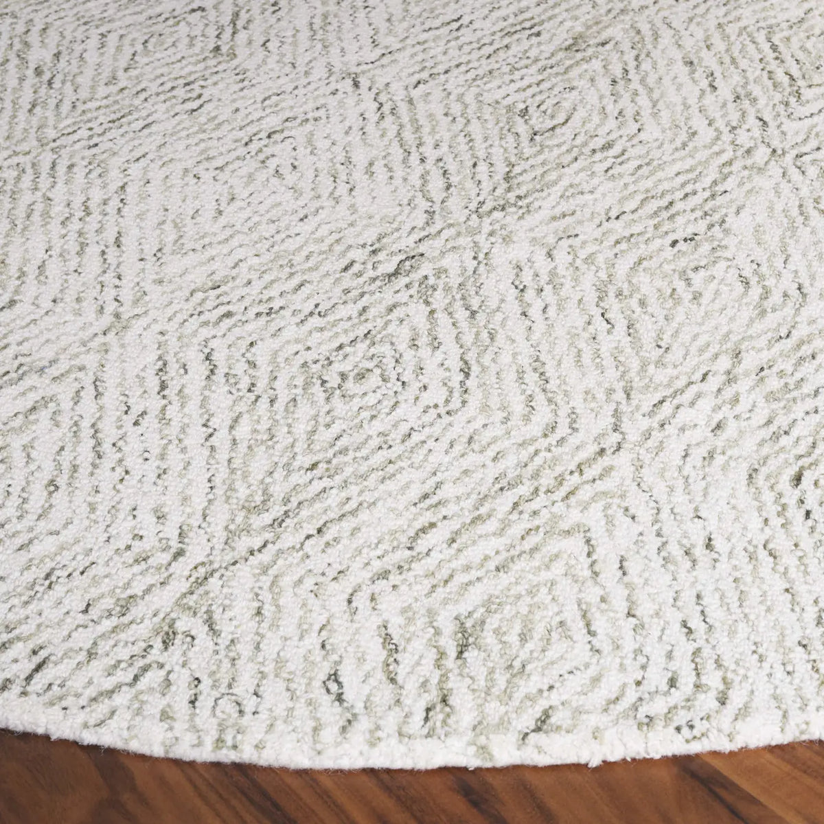 Safavieh Ebony 6'-0" x 6'-0" Rug in Light Green / Ivory