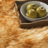 Safavieh Sheep Skin 3'-0" x 5'-0" Rug in Champagne / Copper Brown