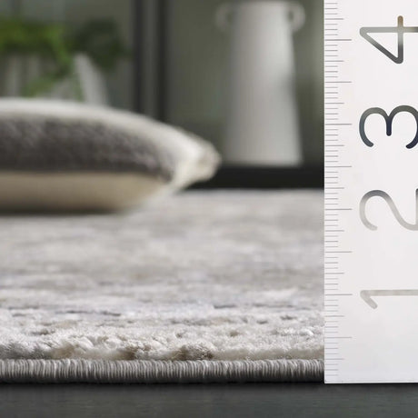Safavieh Lagoon 4'-0" x 6'-0" Rug in Ivory / Grey