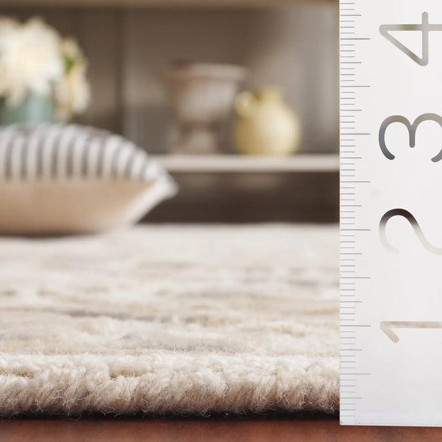 Safavieh Glamour 5'-0" x 8'-0" Rug in Ivory / Grey