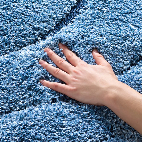 Safavieh Florida Shag 4'-0" x 6'-0" Rug in Light Blue / Blue