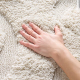 Safavieh Florida Shag 4'-0" x 6'-0" Rug in Creme / Creme