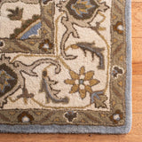 Safavieh Royalty 6'-0" x 9'-0" Rug in Light Blue / Beige