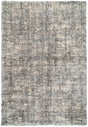 Dynamic Rugs Reverie 3542 Cream / Grey Rugs - Rectangular