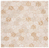 Safavieh Soho 6'-0" x 6'-0" Rug in Beige / Taupe
