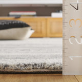 Safavieh Ebony 4'-0" x 6'-0" Rug in Dark Grey / Ivory