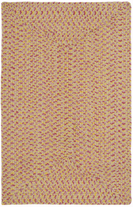 Safavieh Braided 2'-6" x 4'-0" Rug in Multi