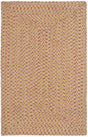 Safavieh Braided 2'-6" x 4'-0" Rug in Multi