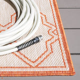 Safavieh Beach House 4'-0" x 6'-0" Rug in Beige / Orange