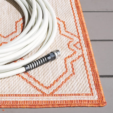 Safavieh Beach House 4'-0" x 6'-0" Rug in Beige / Orange