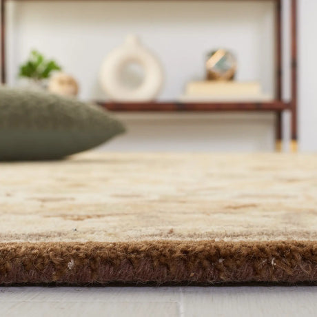 Safavieh Anatolia 4'-0" x 6'-0" Rug in Ivory / Brown