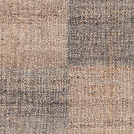Chandra Hayden HAY-56502 Gray / Tan rug, close-up detail