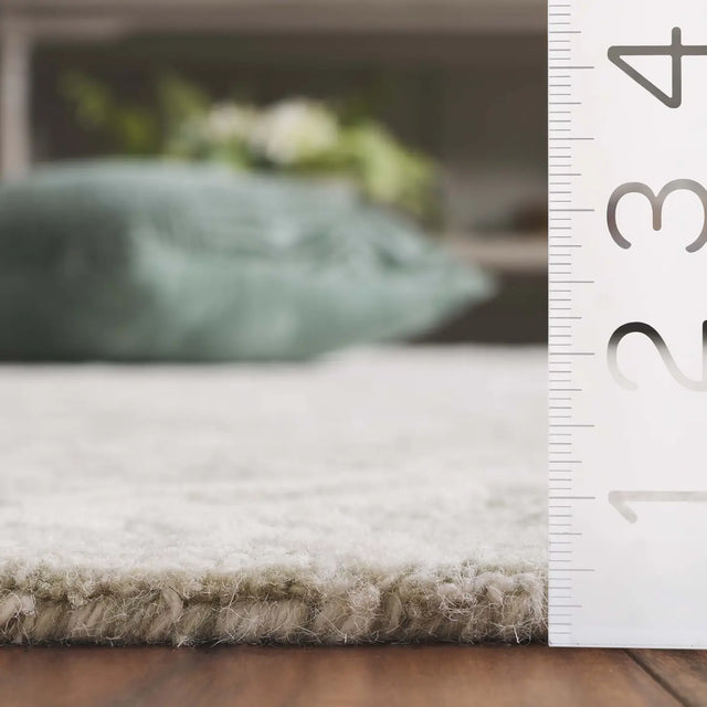 Safavieh Pine 4'-0" x 6'-0" Rug in Light Green / Ivory