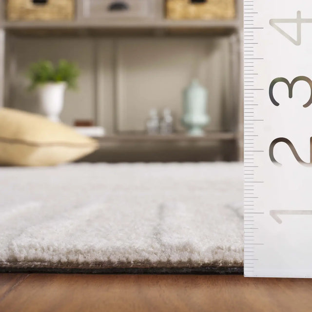 Safavieh Ebony 4'-0" x 6'-0" Rug in Ivory