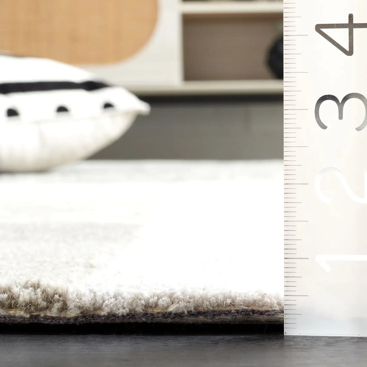 Safavieh Ebony 4'-0" x 6'-0" Rug in Black / Ivory