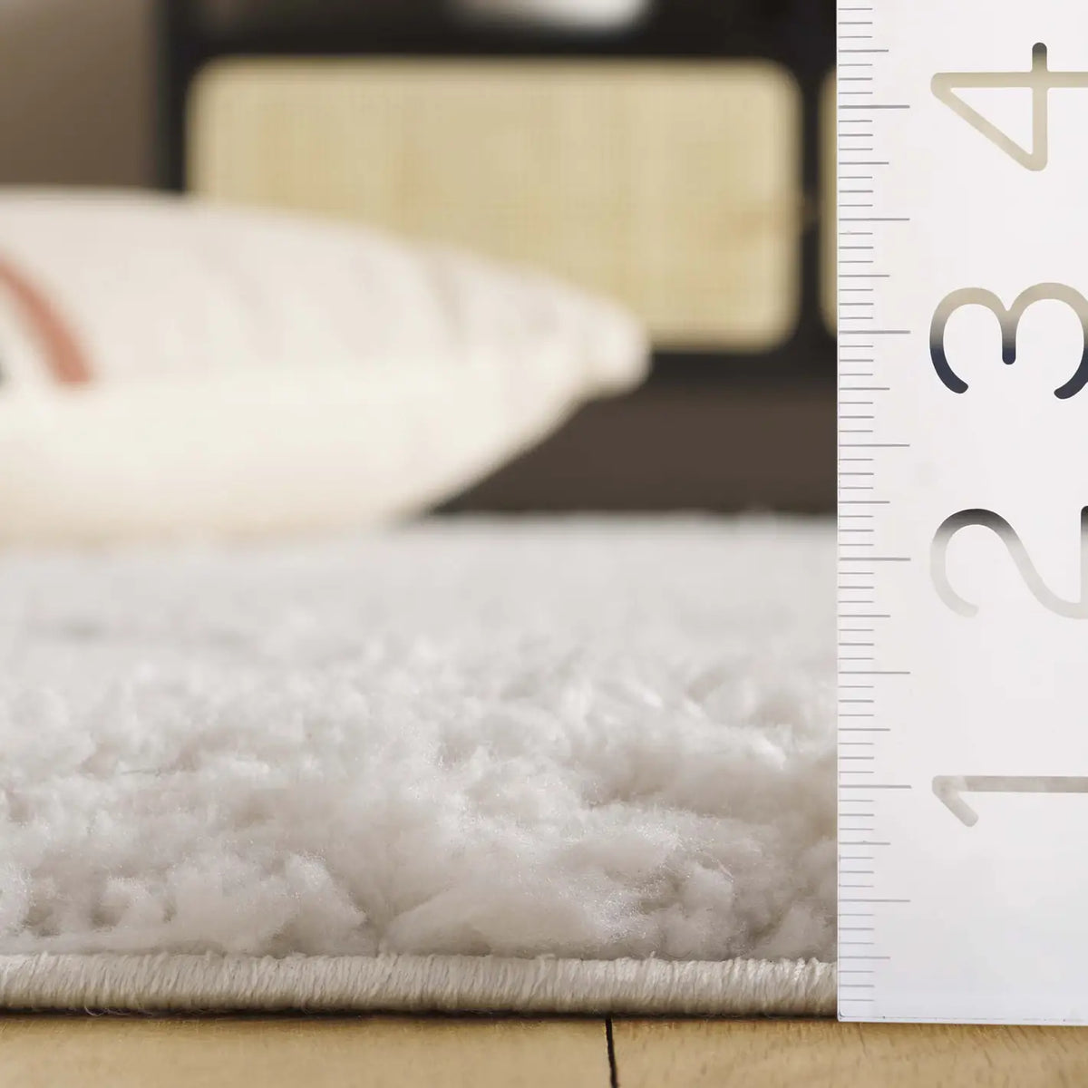 Safavieh Rumi Shag 4'-0" x 6'-0" Rug in Ivory / Light Beige