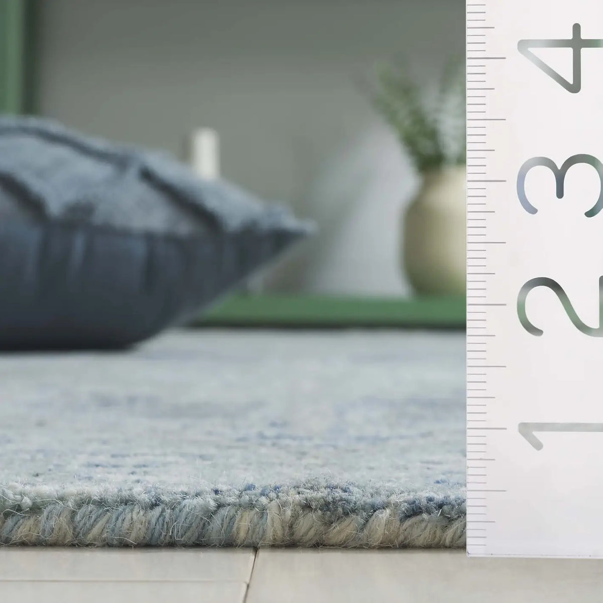 Safavieh Ebony 4'-0" x 6'-0" Rug in Light Blue