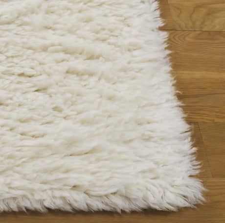 Safavieh Casablanca 4'-0" x 6'-0" Rug in Ivory