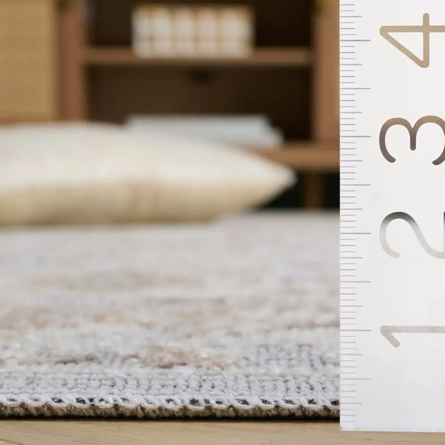 Safavieh Miranda 5'-0" x 8'-0" Rug in Grey / Ivory Beige