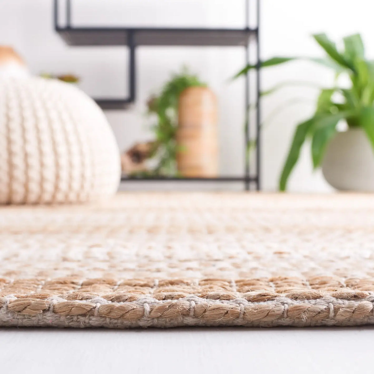Safavieh Natural Fiber 4'-0" x 6'-0" Rug in Ivory / Natural
