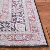 Safavieh Tucson 4'-0" x 6'-0" Rug in Rust / Sage