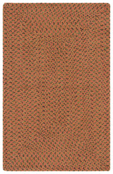 Safavieh Braided 2'-6" x 4'-0" Rug in Multi