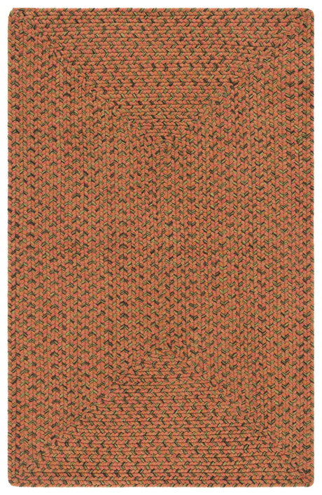 Safavieh Braided 2'-6" x 4'-0" Rug in Multi