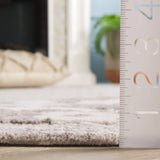 Safavieh Ebony 4'-0" x 6'-0" Rug in Grey / Ivory