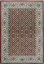Dynamic Rugs Ancient Garden 57011 Red / Ivory Rugs - Rectangular