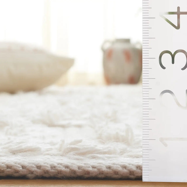 Safavieh Natura 4'-0" x 6'-0" Rug in Ivory