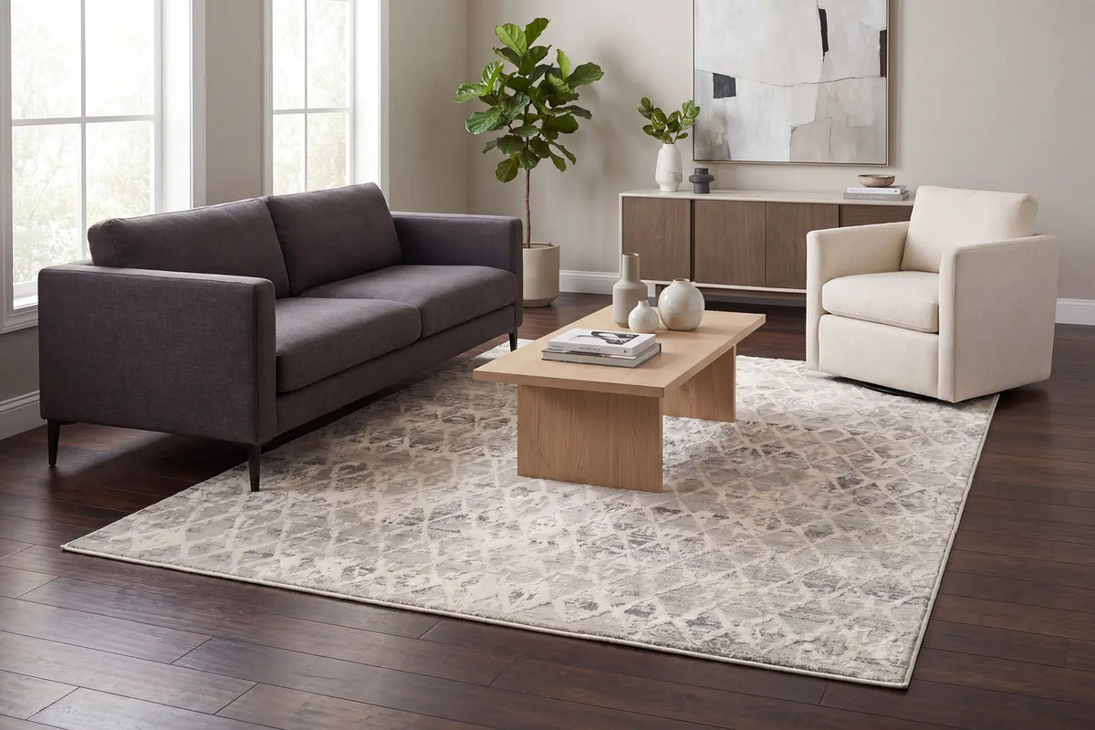 Dynamic Rugs Quartz 27039 Ivory / Silver Rugs - Room