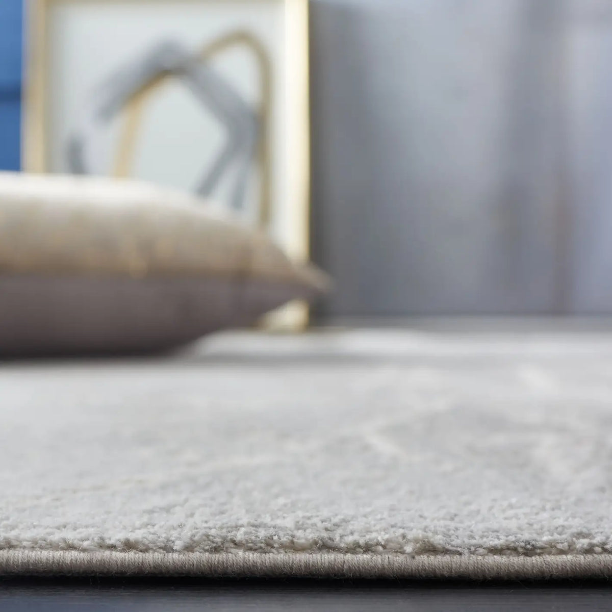 Safavieh Platinum 4'-0" x 6'-0" Rug in Grey / Light Grey