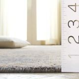 Safavieh Tiffany 6'-0" x 9'-0" Rug in Gold / Silver