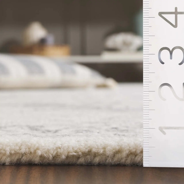Safavieh Ebony 4'-0" x 6'-0" Rug in Ivory / Grey