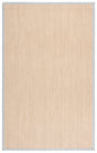 Safavieh Natural Fiber 4'-0" x 6'-0" Rug in Maize / Beige