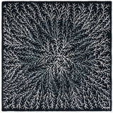Safavieh Soho 6'-0" x 6'-0" Rug in Black / Ivory