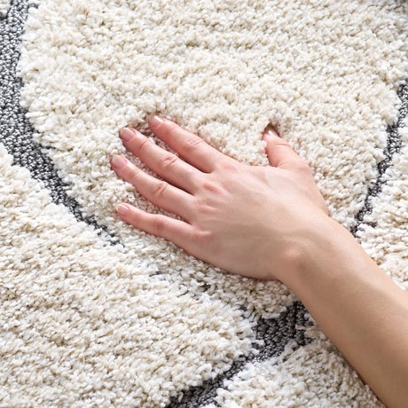 Safavieh Florida Shag 4'-0" x 6'-0" Rug in Cream / Grey