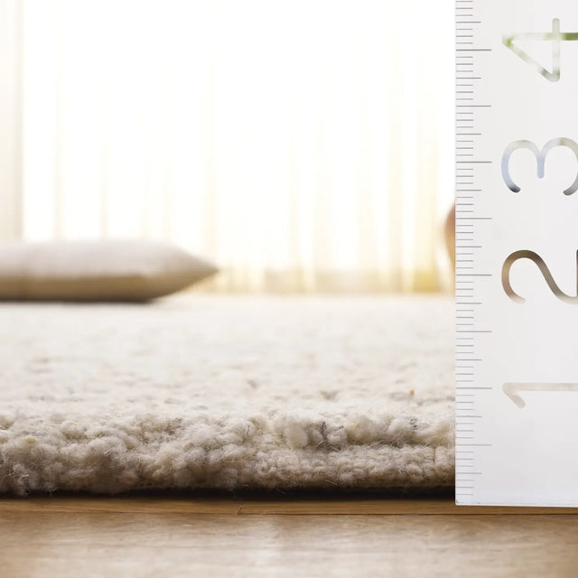 Safavieh Harvest 4'-0" x 6'-0" Rug in Ivory / Grey