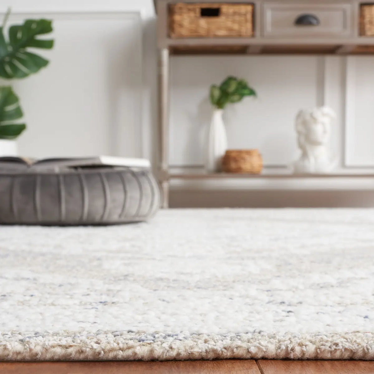 Safavieh Ebony 4'-0" x 6'-0" Rug in Ivory / Taupe