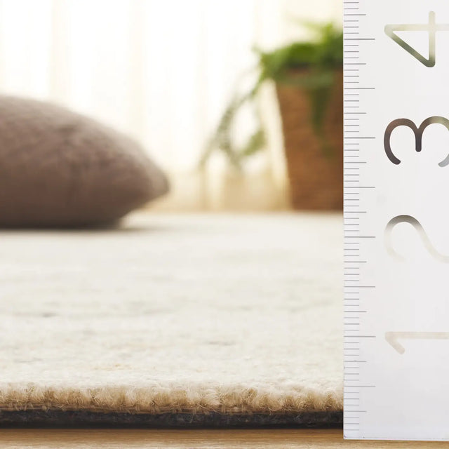Safavieh Ebony 4'-0" x 6'-0" Rug in Ivory / Grey