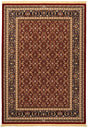 Dynamic Rugs Brilliant 72240 Red Rugs - Rectangular
