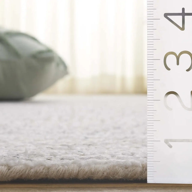 Safavieh Ebony 4'-0" x 6'-0" Rug in Taupe / Ivory