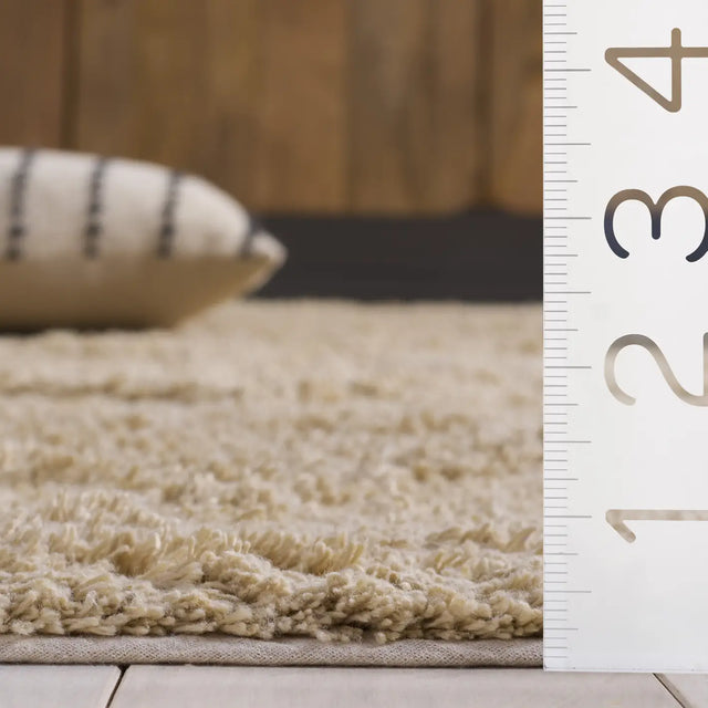 Safavieh Easy Care 4'-0" x 6'-0" Rug in Beige