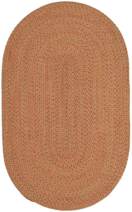 Safavieh Braided 3'-0" x 5'-0" Rug in Multi