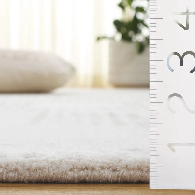 Safavieh Metro 4'-0" x 6'-0" Rug in Natural / Ivory