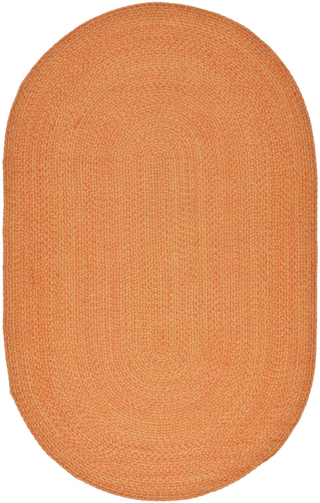 Safavieh Braided 5'-0" x 8'-0" Rug in Multi